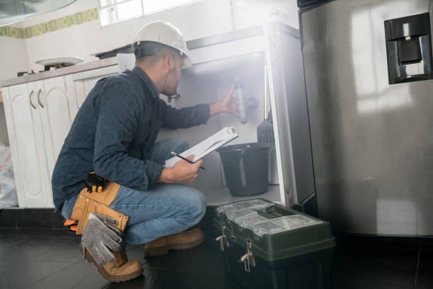Best Plumbing Inspection Services  in Lake Fenton, MI